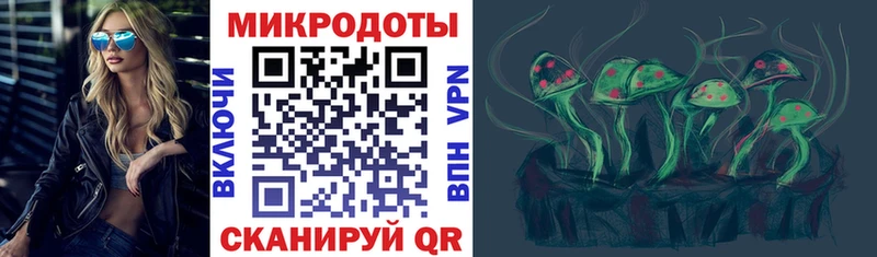 где найти наркотики  Нягань  Галлюциногенные грибы Psilocybine cubensis 